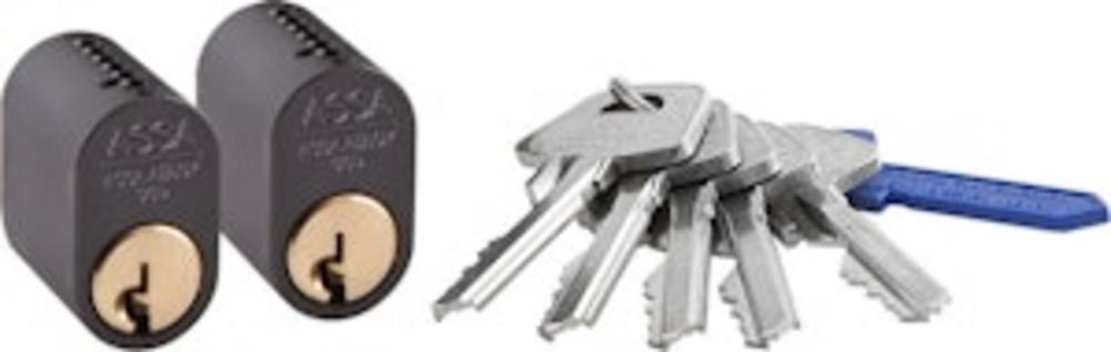 Cylinder 1201 2st LL med 5 nycklar MSV Mirus GDS