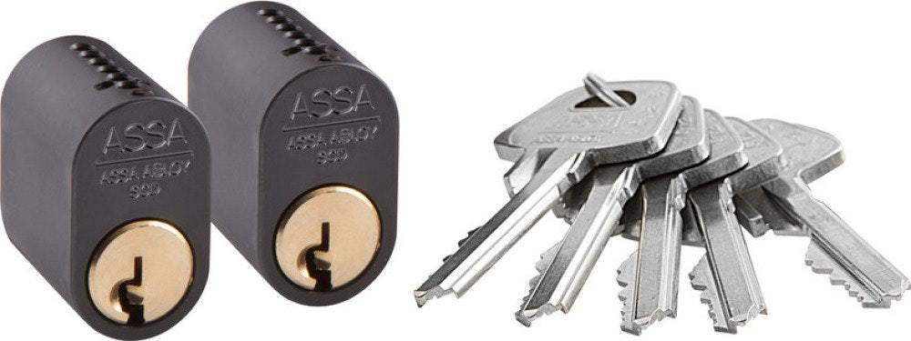 Cylinder 1301 2st LL med 5 nycklar MSV Mirus GDS