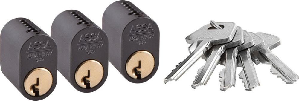 Cylinder 1301 3st LL med 5 nycklar MSV Mirus GDS