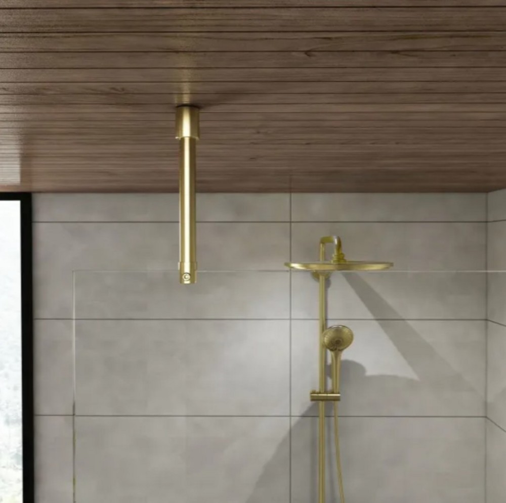 Duschstag, tak/glas, Ø 19mm,       250mm, matt mässing