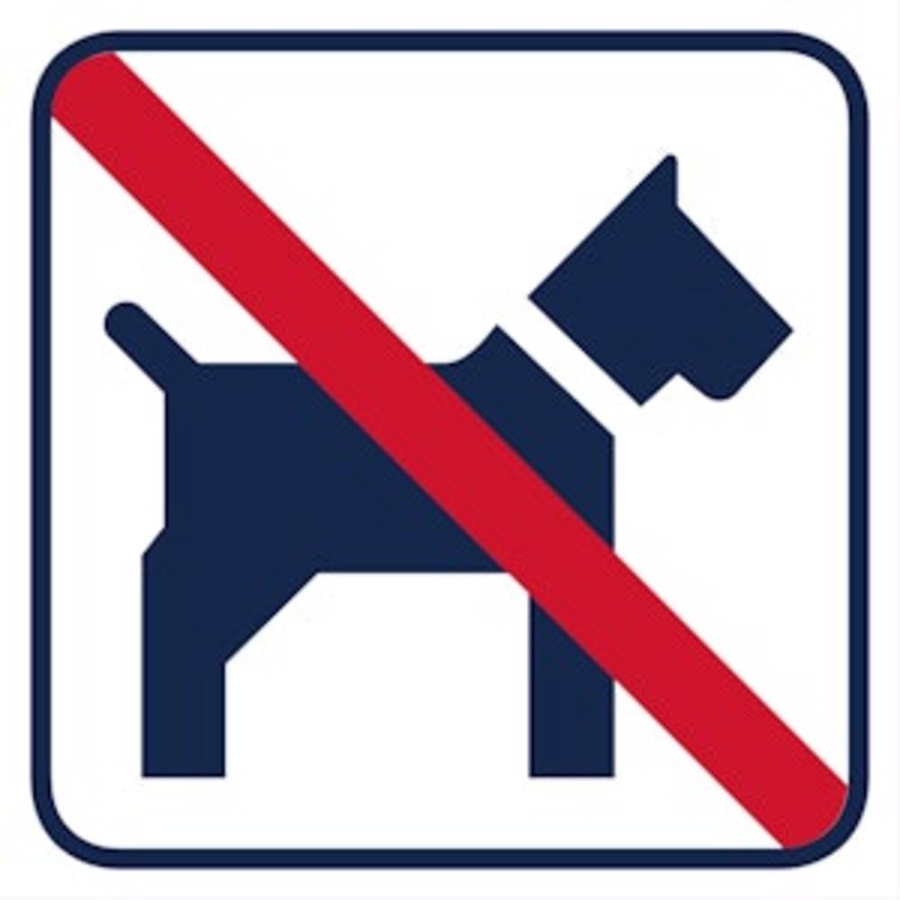 Pictogram 140x140mm hundförbud     självhäftande 5-pack