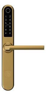 Smart Lock BG2000 Guld (utan       låshus)
