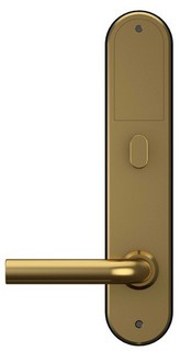 Smart Lock BG3000 Nordic Guld