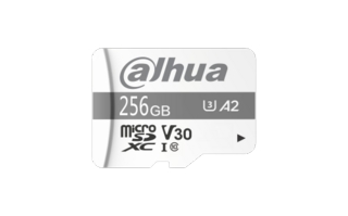 P100 MicroSD Memory Card 256GB