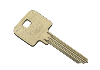 Nyckelämne dormakaba DMS DSK-1-R