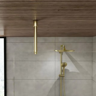 Duschstag, tak/glas, Ø 19mm,       250mm, matt mässing