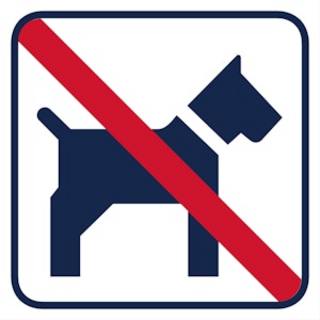 Pictogram 140x140mm hundförbud     självhäftande 5-pack